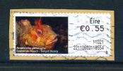 IRELAND  -  ATM Stamp Used On Piece As Scan - Franking Labels