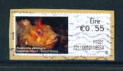 IRELAND  -  ATM Stamp Used On Piece As Scan - Frankeervignetten (Frama)