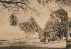 AFRIQUE - GUINEE FRANCAISE - CONAKRY - La Corniche (1952) - Frans Guinee