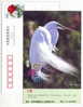 White Egret Bird,China 1999 Beijing Bird Paradise Advertising Postal Stationery Card - Storks & Long-legged Wading Birds