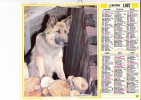 Almanach Des PTT 1987  "chien Loup" / Jument Et Poulin" Berger Allemand, Cheval OBERTHUR - Big : 1981-90