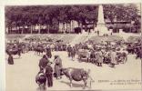 Rennes   Marché Aux Bestiaux - Rennes