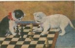 Katze, Katzen Spielen Schach, Um 1920 - Echecs