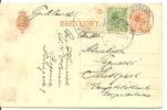 BREVKORT 1920 - Enteros Postales