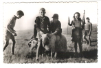 " En Promenade.." Enfants ,SCOUTS Avec Drapeaux, Eclaireurs De France ? Jouant Avec Un Mouton Ou Chèvre - Pfadfinder-Bewegung