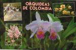 Lote PEP183, Colombia, Postal, Postcard, Orquideas De Colombia, Orchids - Colombia