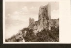 504. Germany, Ruine Drachenfels - Konigswinter ( Rhein ) - Echte Real Photo - Koenigswinter