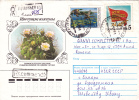 RUSSIA: GHYMNOCALYCSIUM SAGLIONE. COVER USED. - Sukkulenten