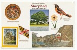 "Old Line State" Maryland Greetings - Altri & Non Classificati