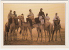Niger - Teguidda N'Tessoumt - La Cure Salée - Editeur: Cartes Du Monde - Niger