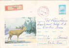 DEER, 1966, REGISTRED COVER STATIONERY, ENTIER POSTAL, ROMANIA - Gibier