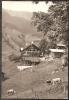 PLANALP Jugendheim Brienz 1965 - Brienz