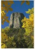 Devil's Tower WY Wyoming, National Monument, Geology, C1980s/90s Vintage Postcard - Autres & Non Classés