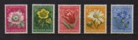 PAYS BAS : Année 1952, Série Complète Fleurs, N°569 à 573  (5 Timbres), - MNH -Neufs Sans Trace De Charnière - Unused Stamps