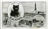 UNITED KINGDOM REGNO UNITO ROYAUME UNI BLACKPOOL CAT 1958 - Blackpool