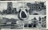 UNITED KINGDOM REGNO UNITO ROYAUME UNI SHREWSBURY CAT 1959 - Shropshire