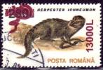 ROMANIA - USATO - 2001 - Herpestes Ichneumon - 13000 L - Gebruikt