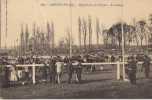 CPA 33 - Langon - Hippodrome Des Vergers - La Pelouse - Langon