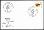 ARGENTINA NECOCHEA 1998 - 1er ROVER MOOT SCOUTS DE ARGENTINA - Lettres & Documents