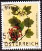 Osterreich /  Austria 2007 € 0,65 Gewöhnlicher Schneeball - Oblitérés
