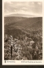 504. Germany, Bad Harzburg  - Blick Vom Burgberg Zur Sennhutte - Echte Real Photo -  Carl Friedrich Fangmeier, Magdeburg - Bad Harzburg