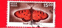 INDIA - Usato - 2000 - Farfalla - Butterfly - 15.00 - Usados