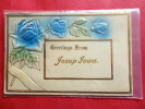 Embossed Floral Greeting Jessup Iowa  Cancel Ca 1910----- Ref  544 - Other & Unclassified