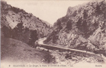 83 - OLLIOULES - Les Gorges, La Route, Le Torrent De L'Estel - Ollioules