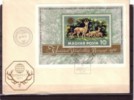 1971. Hungary, Hunting Exposition, Block, FDC - FDC