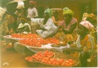 Bénin Porto-Novo  Marché Ahouangbomé CPSM Non Circulé état Moyen - Benín