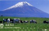 TELECARTE JAPONAISE....TROUPEAU DE VAVHES AVEC VOLCAN ....VOIR SCANNER - Vacas