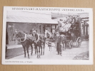 SINGAPORE , STOOMVAART,MAATSCHAPPIJ, " NEDERLAND", Southampton, Excursion To JAVA - Singapur