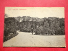 Netherlands > Friesland > Leeuwarden  Rengerspark  1909 Cancel === == = ==   Ref 546 - Leeuwarden