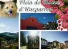 64 Plein De Bisous D'HASPARREN, Coeurs, Chien - Hasparren