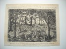 GRAVURE 1877. INCENDIE DE LA FORET DE LA MAHABONA, PRES DE PHILIPPEVILLE, ALGERIE. - Collections