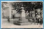 84 - PIOLENC -  Le  Monument Du Général Comte De Corsin - Piolenc