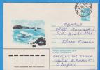 Russia, URSS. Postal Stationery Cover / Postcard 1980 - Cartas & Documentos