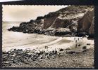 RB 863 - Real Photo Postcard - The Beach Petit Bot - Guernsey Channel Islands - Guernsey