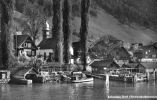 Kehrsiten-Dorf - (Vierwaldstättersee) - Wald