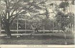 CODRINGTON COLLEGE (W.L. Johnson & Co, N° 29). - Barbados