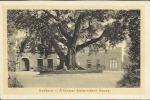 HOLBORN - A Former Government House (Knight & Co, N° 6). - Barbados (Barbuda)