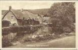 SPRINGHEAD - NEAR WEYMOUTH. - Other & Unclassified