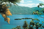 ZS33586 Suisse Isole Di Brissago Lago Maggiore Panorama Used Perfect Shape Back Scan At Request - Brissago