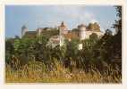 ZS33763 Germany Harburg Castle Not Used Perfect Shape Back Scan At Request - Winsen