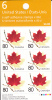 Canada #BK282 Pane Of 6 80c Red Maple Leaf And Twig - AP, TRC - Cuadernillos Completos