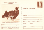 COCK, 1977, CARD STATIONERY, ENTIER POSTAL, UNUSED, ROMANIA - Cuco, Cuclillos