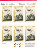 Canada #BK292 Pane Of 6 80c Lincoln´s Sparrow - Birds By Audubon - Carnets Complets