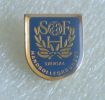 SWEDEN HANDBALL FEDERATION Pin Badge * Hand-ball Association Balonmano Pallamano Abzeichen Anstecknadel - Pallamano