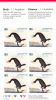 Canada #BK310 Pane Of 6 85c Double-crested Cormorant - Birds By Audubon - Carnets Complets