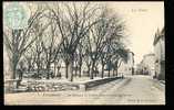Delcampe - 81 REALMONT / Le Bosquet, Le Temple Et Rue Du Général Ferret / - Realmont